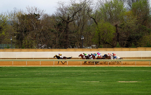 File:Horse Racing 2393.jpg