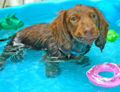 Thumbnail for version as of 23:50, 7 June 2011